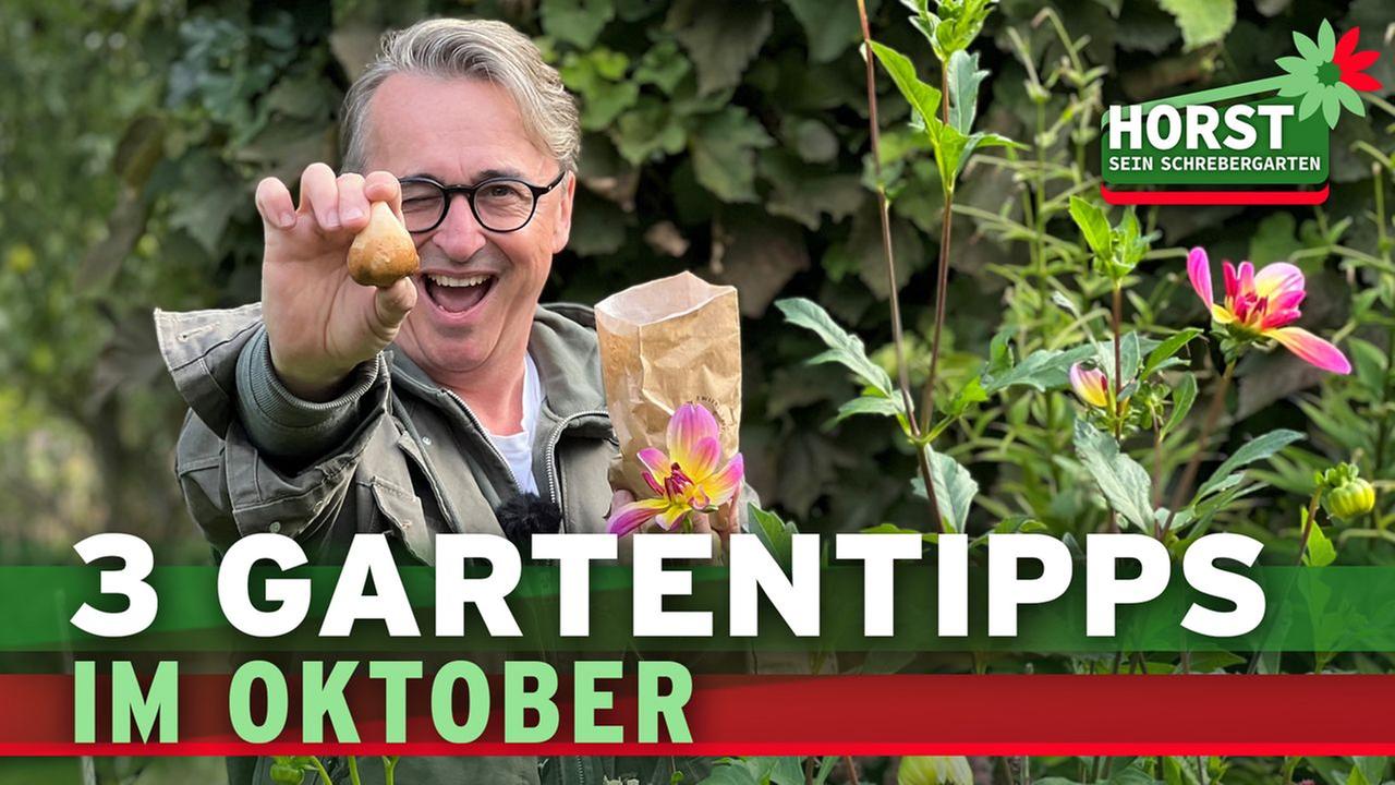 3 Gartentipps für den Oktober