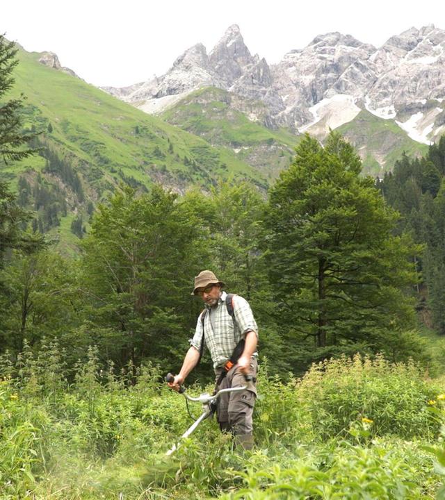 7 Gipfel Bayerns · Die Hochfrottspitze (1/5)