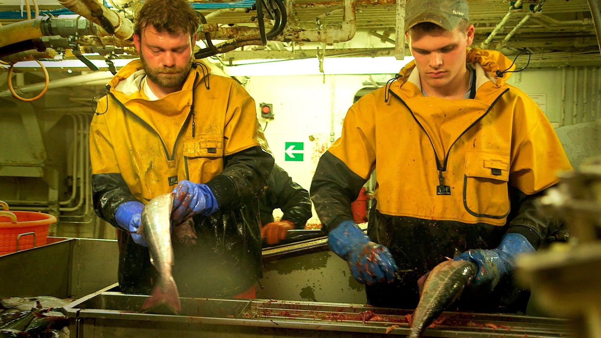 7 Tage... unter Fischern