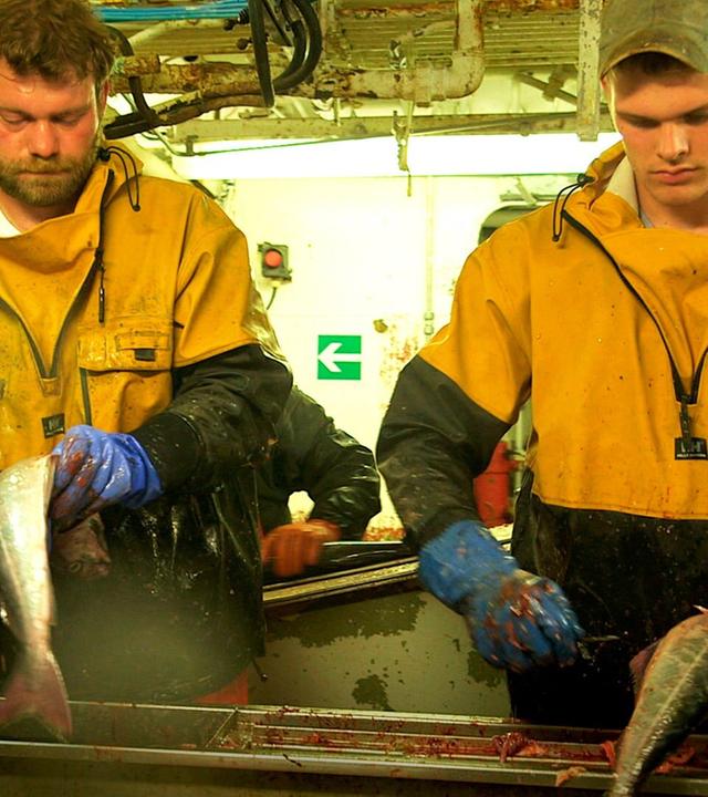 7 Tage... unter Fischern