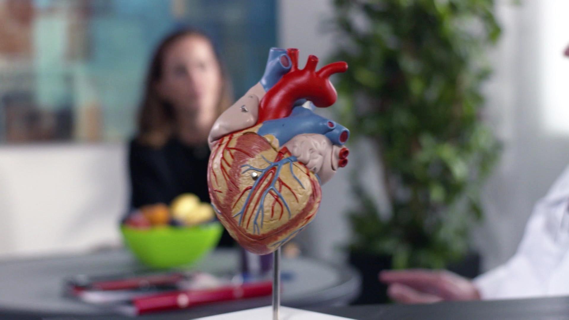 Abenteuer Diagnose - 22.04.2025