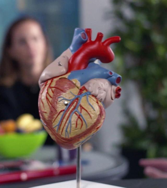 Abenteuer Diagnose - 22.04.2025