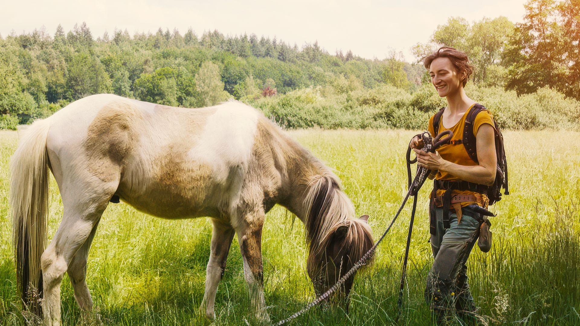 Abenteuer Land-WG - Gemeinschaft mit Pferdestall gesucht