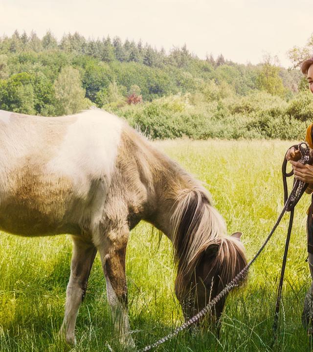 Abenteuer Land-WG - Gemeinschaft mit Pferdestall gesucht