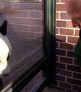 Abschied von Lutz Störmer -