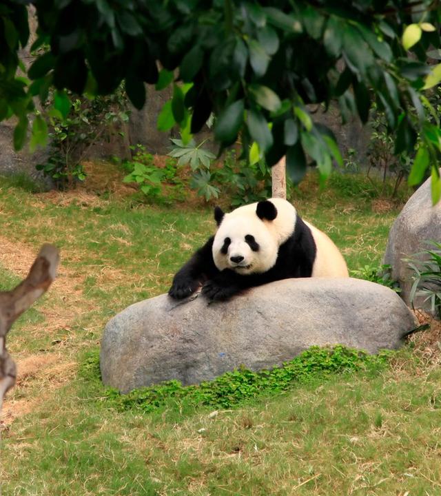 Abschied von Schnecke