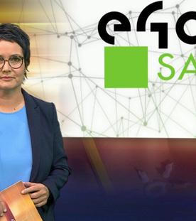 aktueller bericht (10.12.2024)