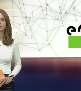 aktueller bericht (25.09.2024)