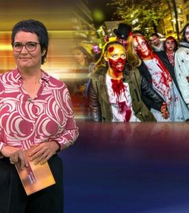 aktueller bericht (31.10.2024)