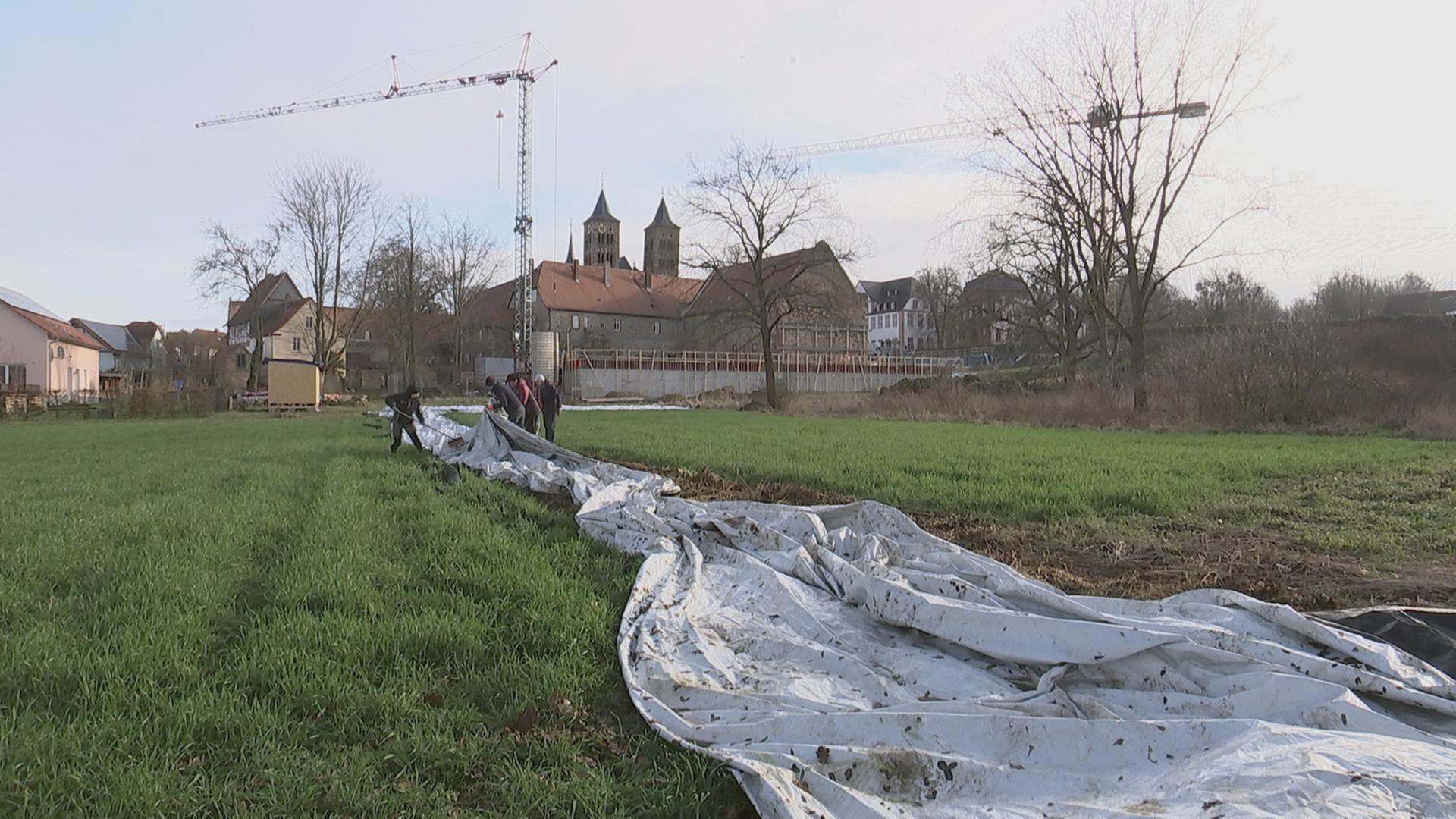 alle wetter! vom 02.02.2024