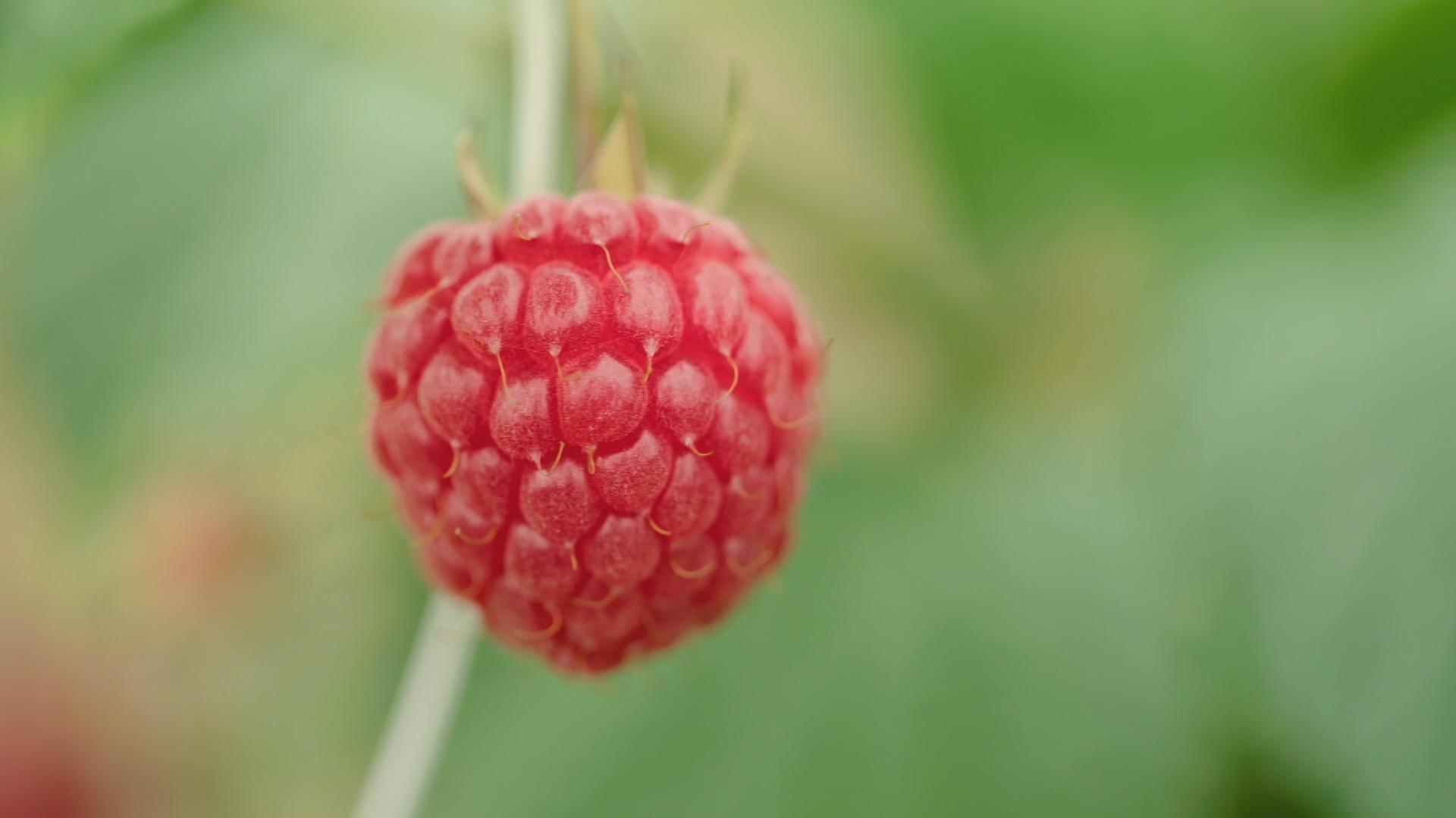 alle wetter! vom 03.07.2024