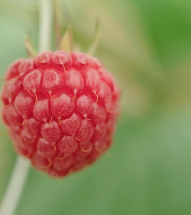 alle wetter! vom 03.07.2024