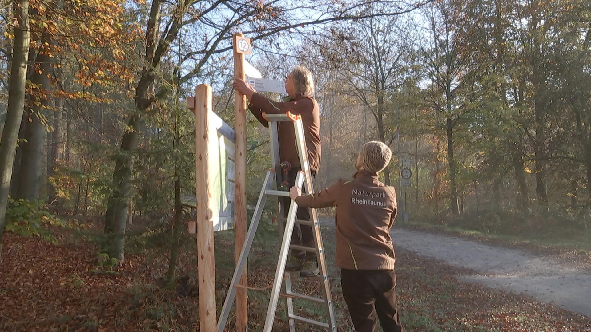 alle wetter! vom 04.11.2024