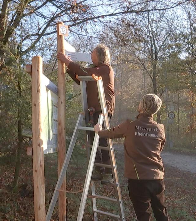 alle wetter! vom 04.11.2024