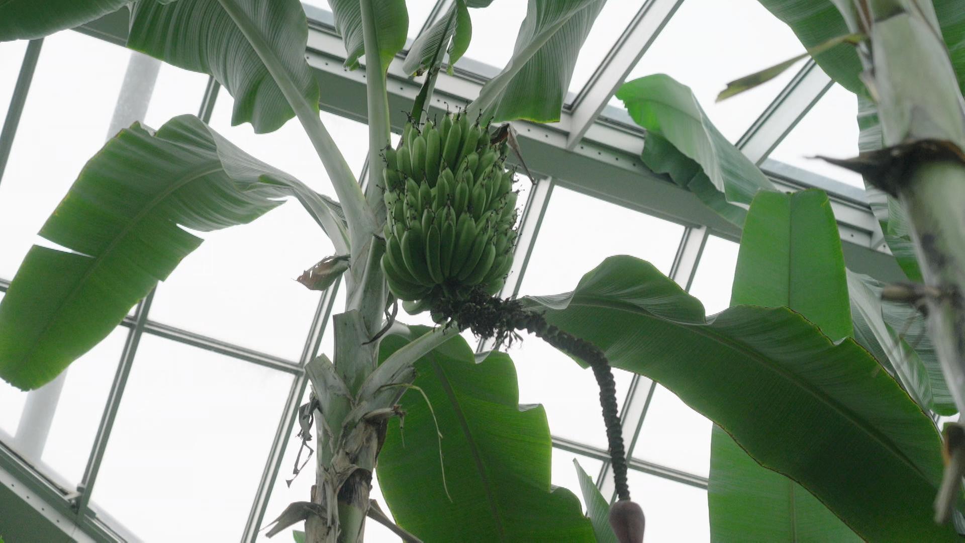 alle wetter! vom 07.11.2024