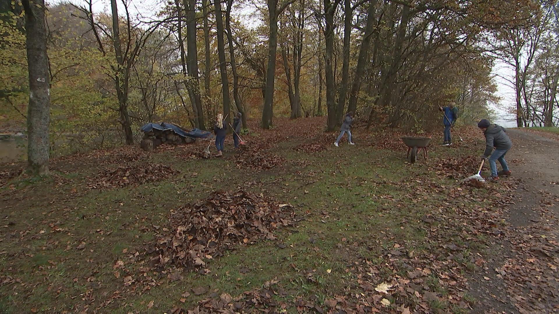 alle wetter! vom 08.11.2024