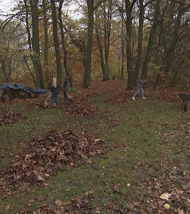 alle wetter! vom 08.11.2024