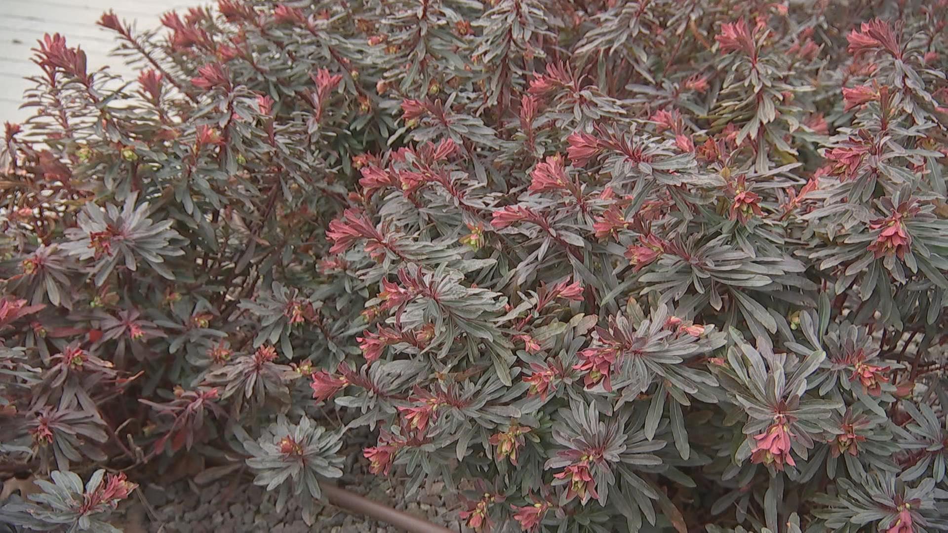 alle wetter! vom 13.03.2025