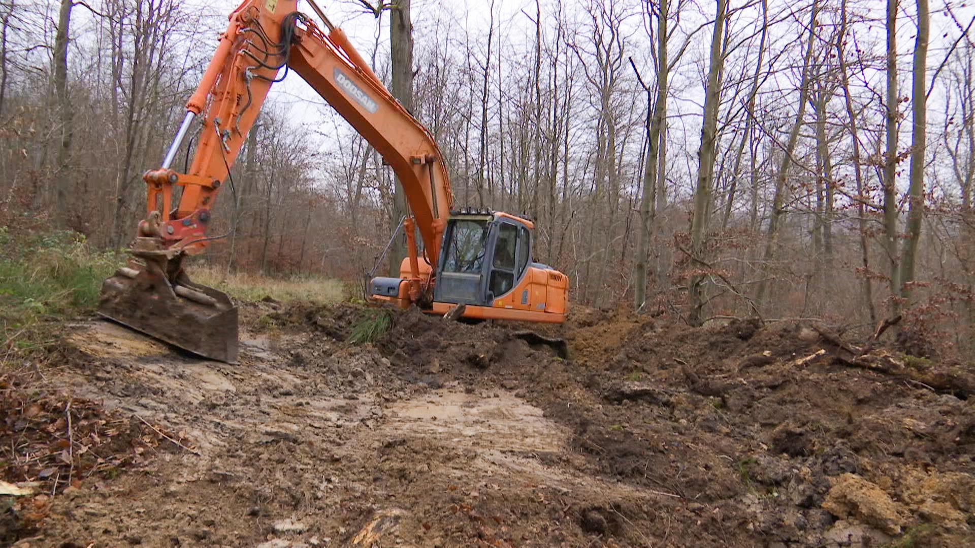 alle wetter! vom 13.12.2024