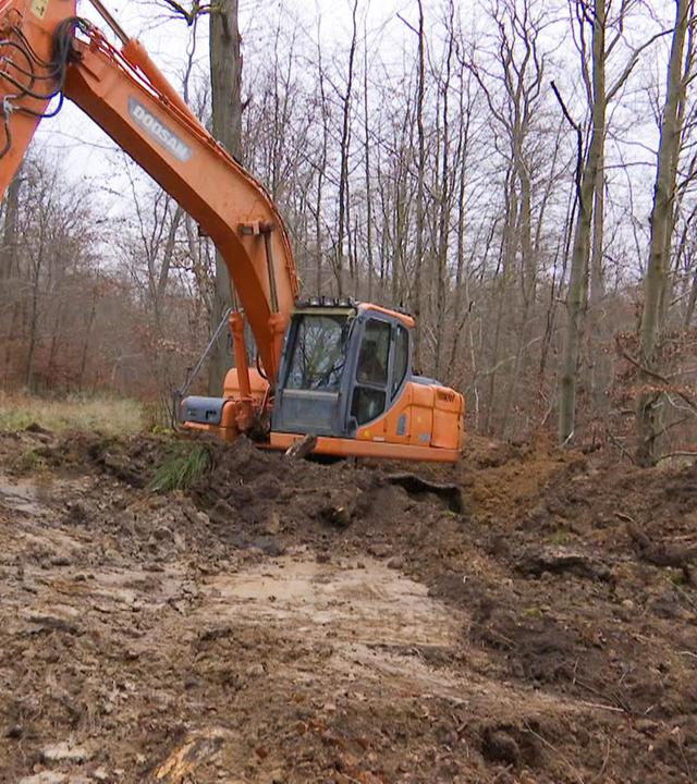 alle wetter! vom 13.12.2024