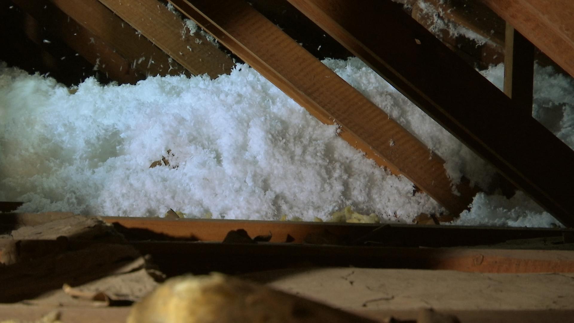 alle wetter! vom 17.10.2024