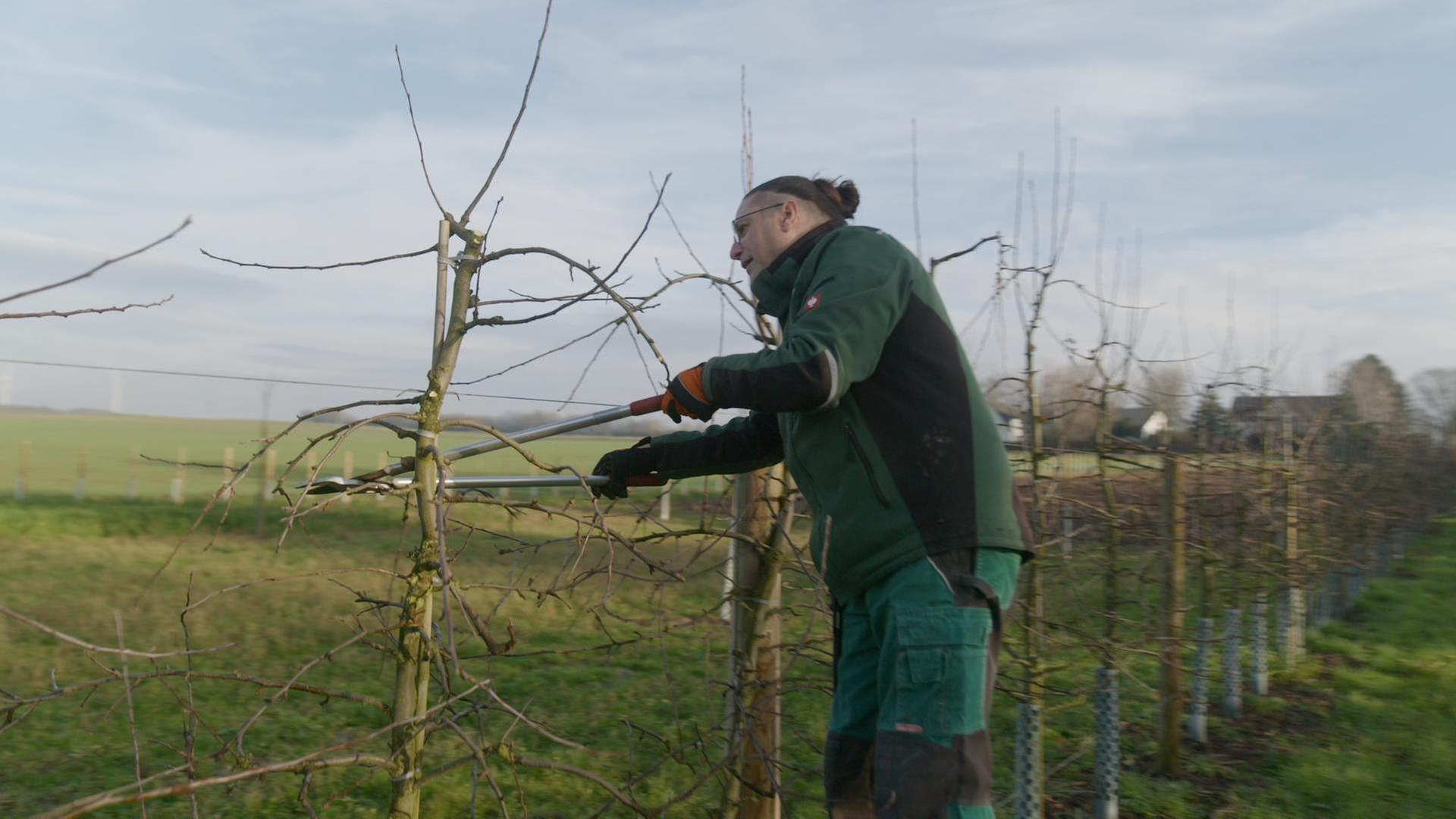 alle wetter! vom 18.12.2024