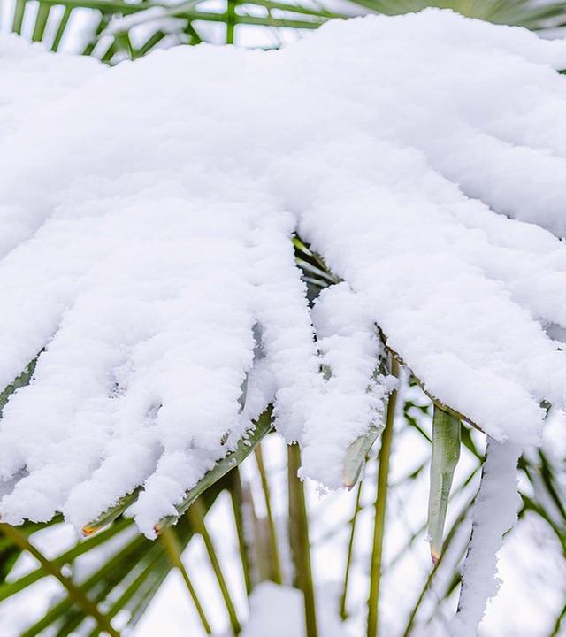 alle wetter! vom 22.01.2025