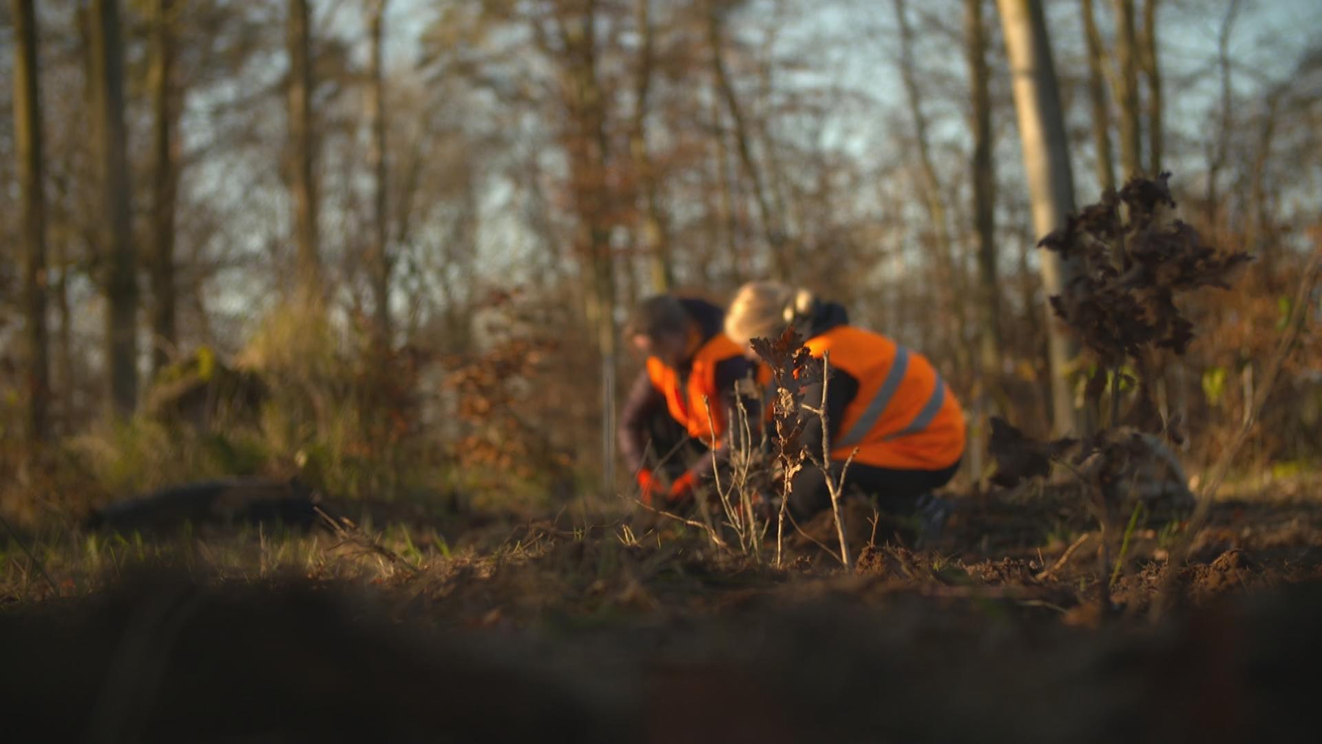 alle wetter! vom 29.11.2024