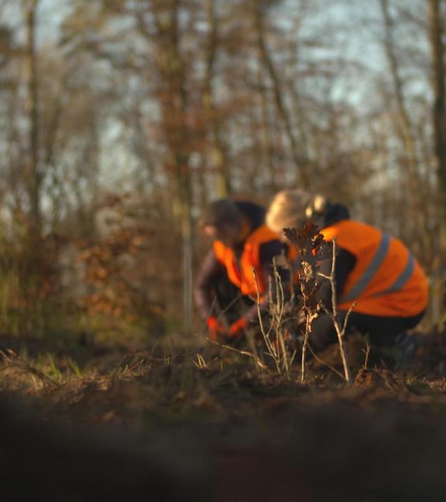 alle wetter! vom 29.11.2024