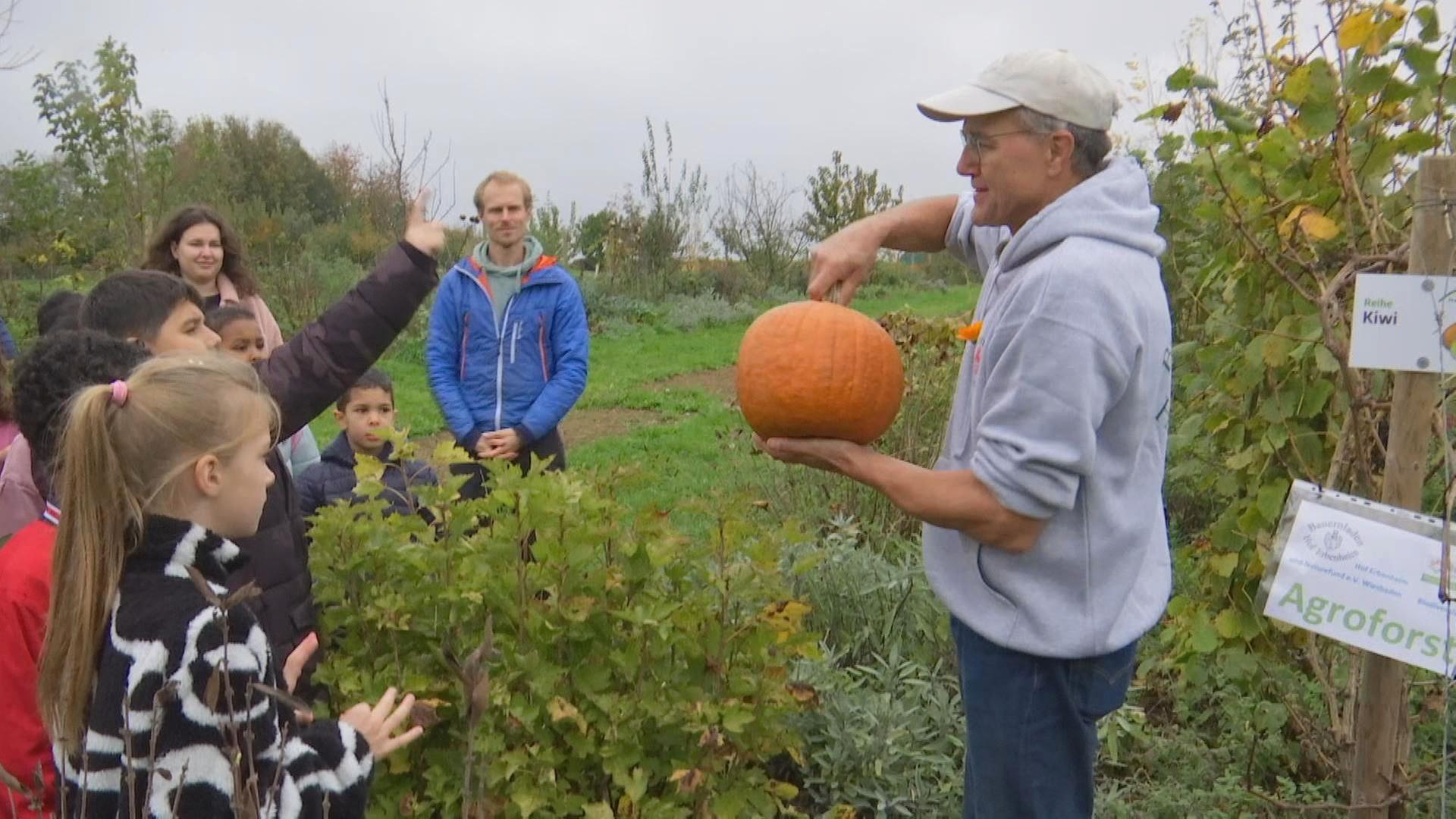 alle wetter! vom 31.10.2024