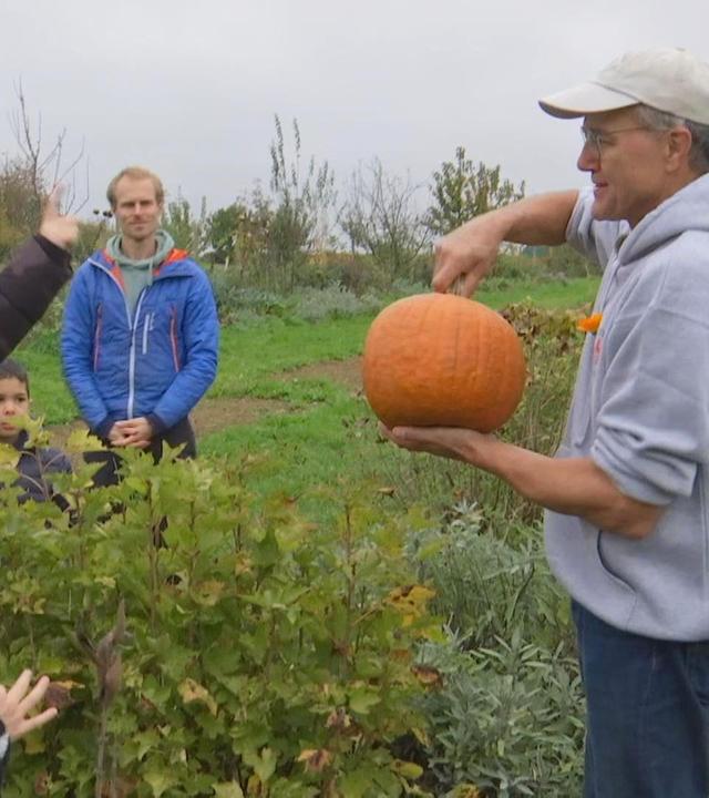 alle wetter! vom 31.10.2024