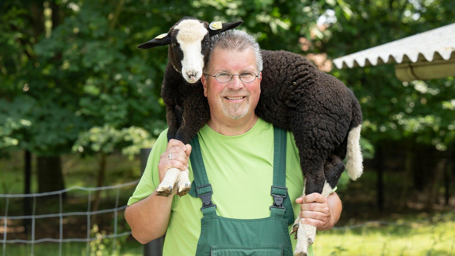 Alles vom Schaf in Ostwestfalen-Lippe