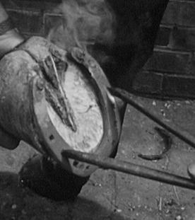 "Ambulanter" Hufschmied