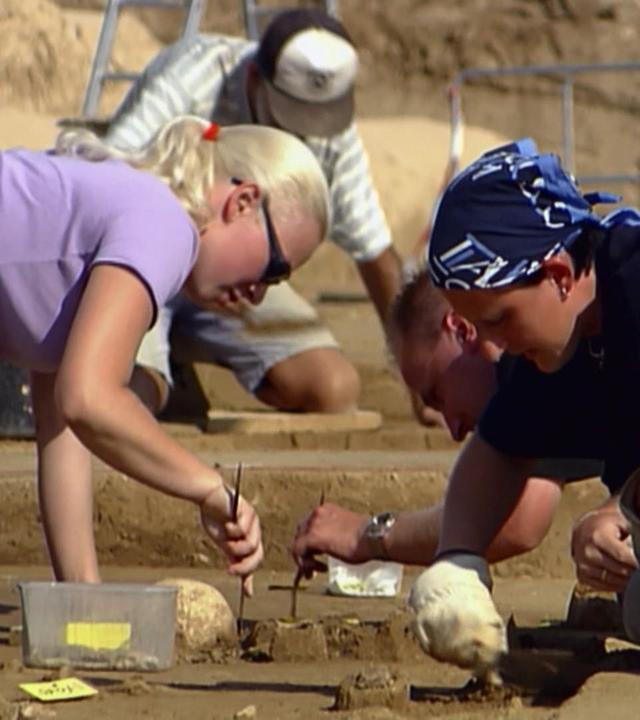 Archäologie erleben - Akte Jungsteinzeit