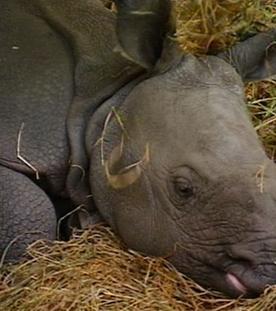 Auf dem Kinderspielplatz -