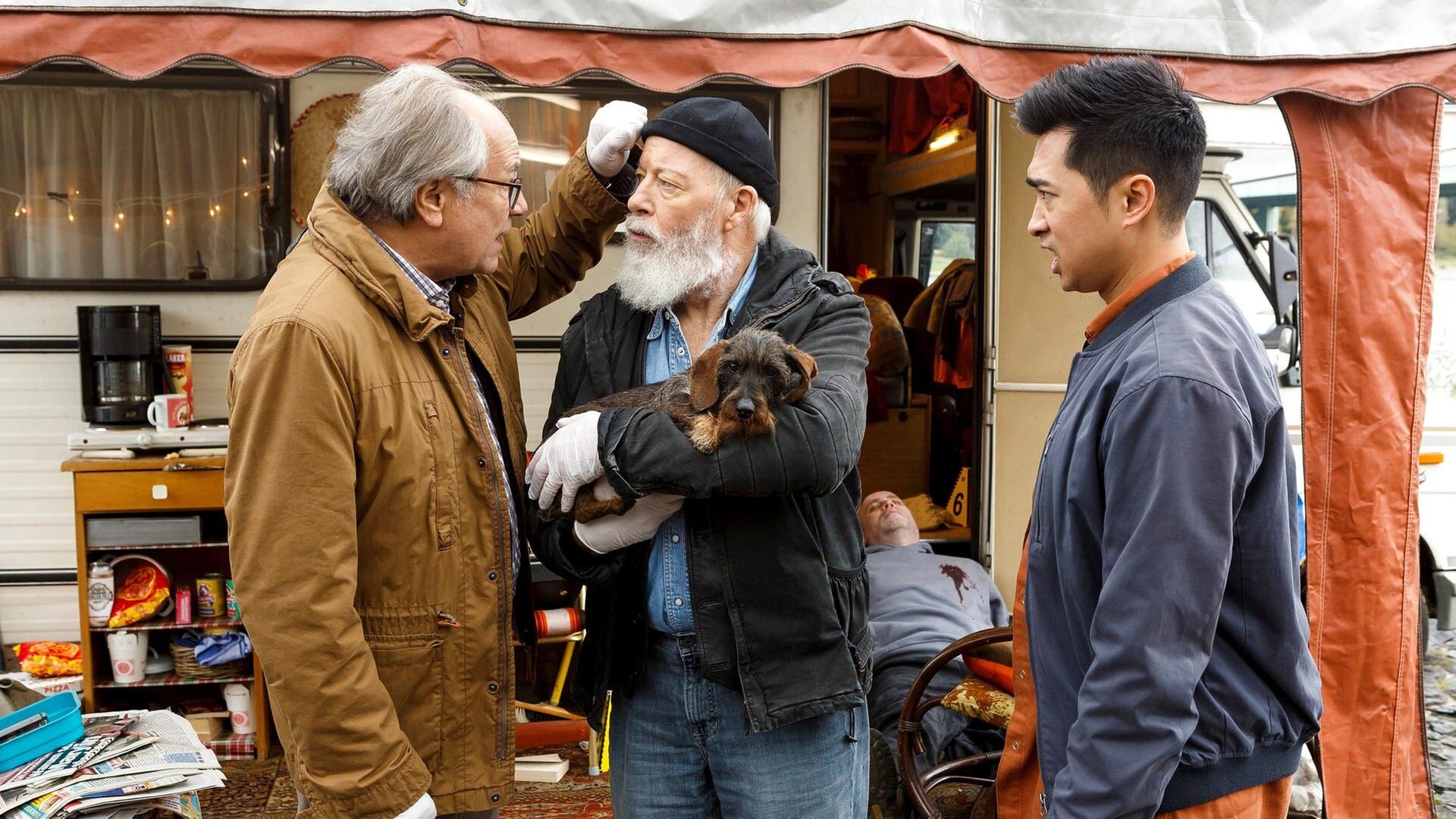 Auf den Hund gekommen