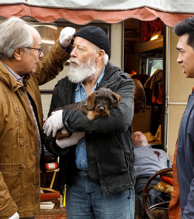 Auf den Hund gekommen