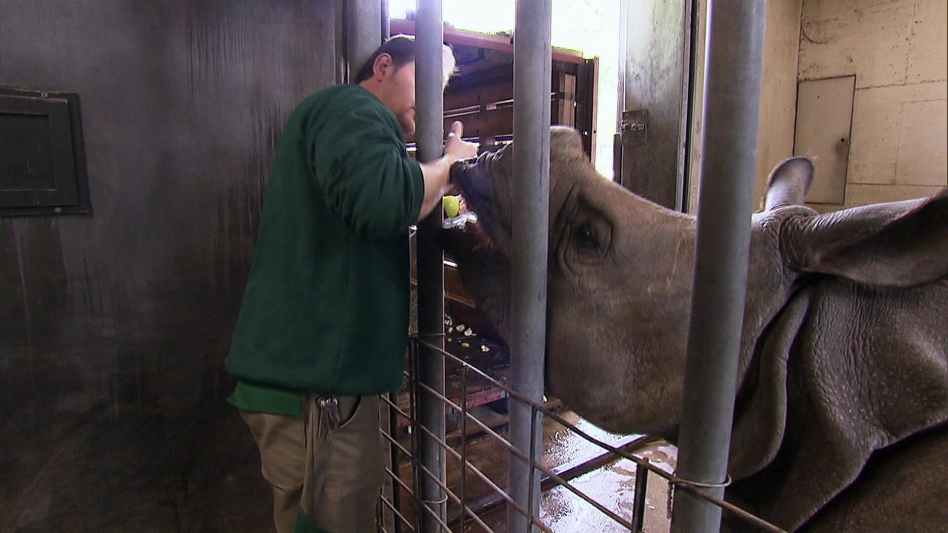 Auf Wiedersehen, kleiner Samir!