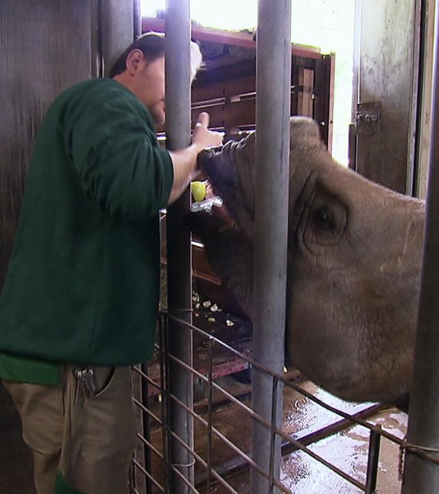 Auf Wiedersehen, kleiner Samir!