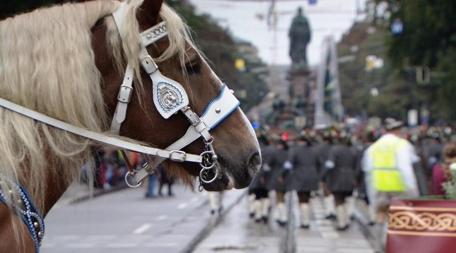 Aufgezäumt und eingespannt – mit Rosserern aufs Oktoberfest