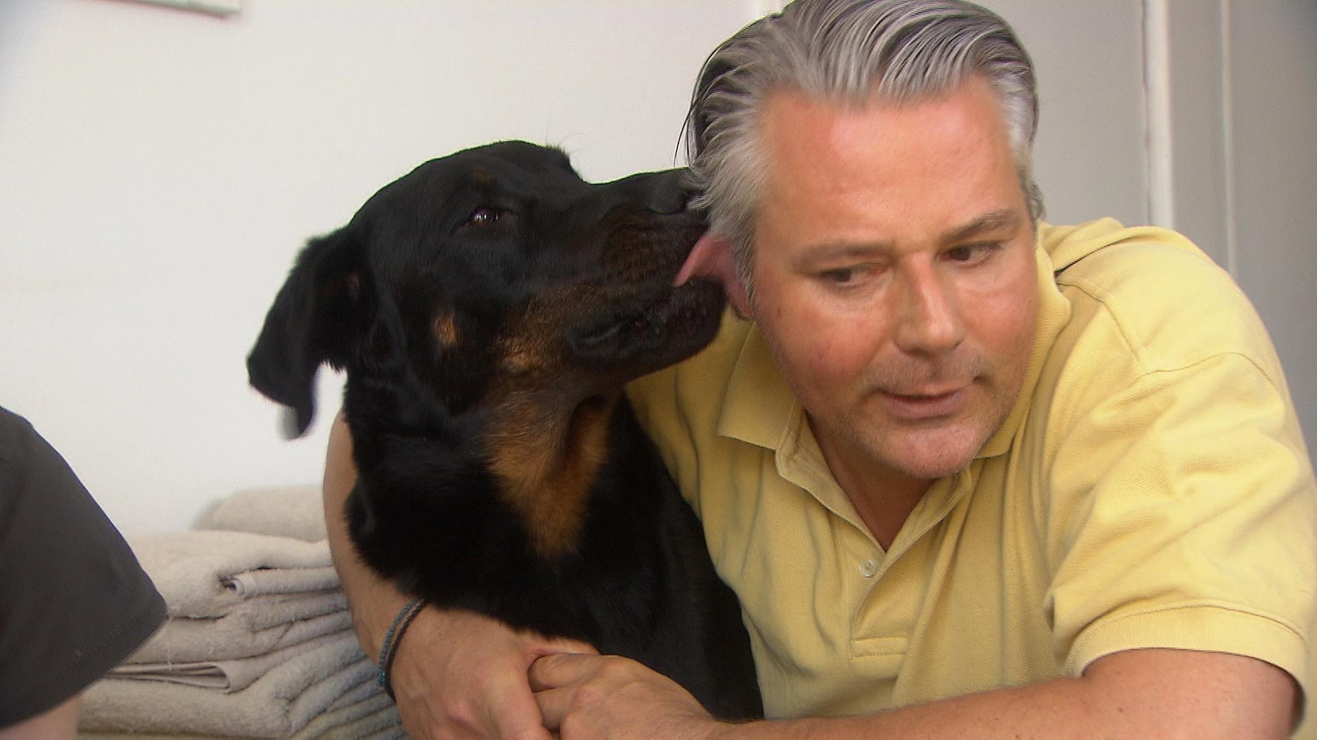 Aus dem Leben eines Hundezüchters