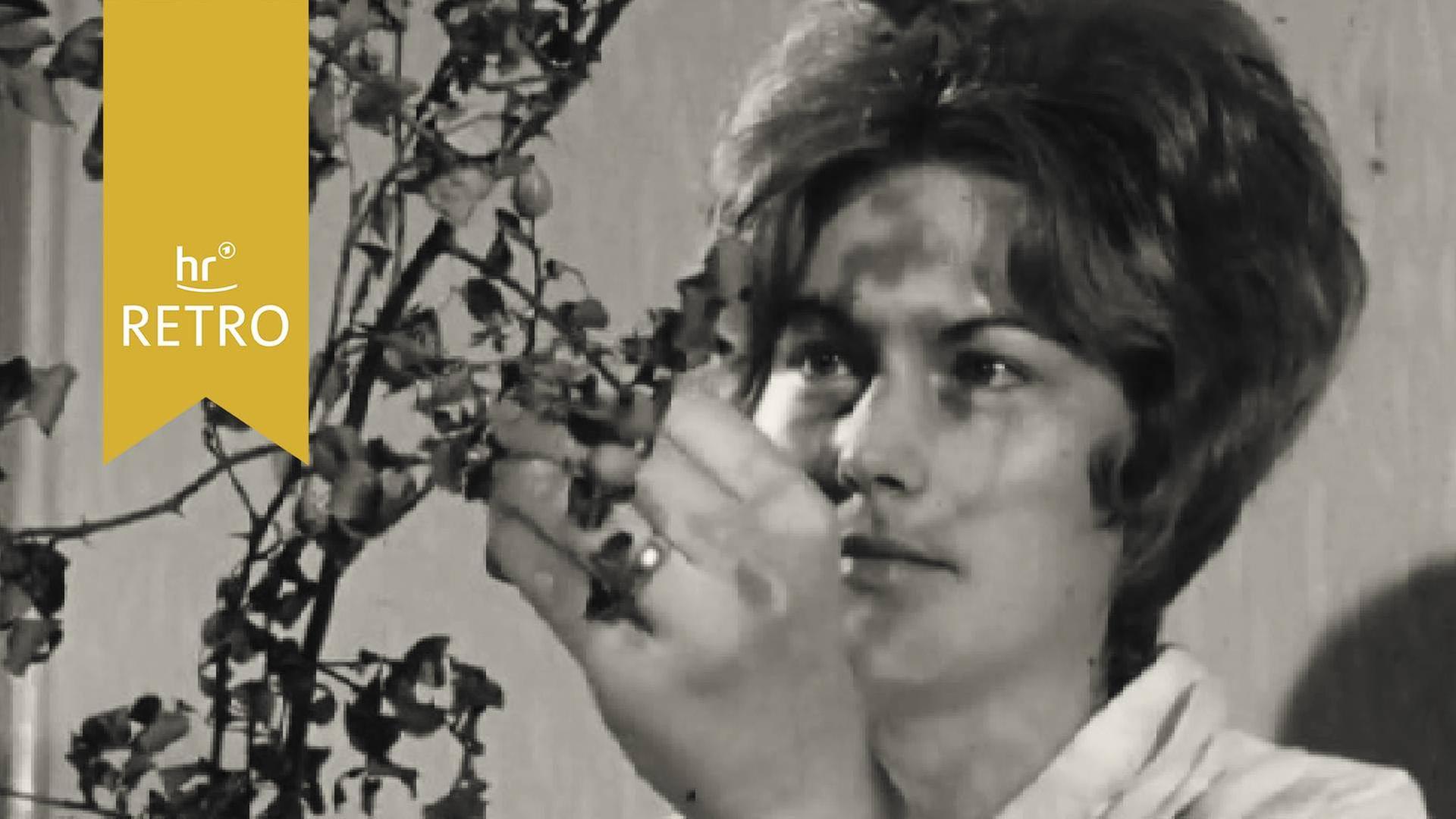 Ausstellung zur Geschichte der Heilkräuterkunde