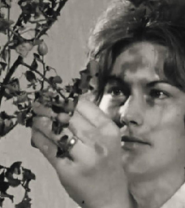 Ausstellung zur Geschichte der Heilkräuterkunde