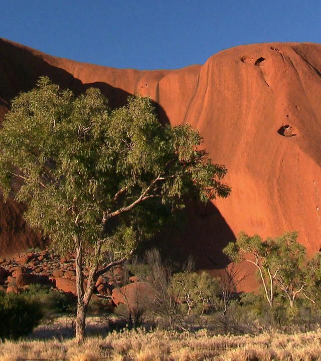 Australian Treasures - Opals, Cattle, Spectacular Nature · Australia · Opals, Cattle, Spectacular Nature