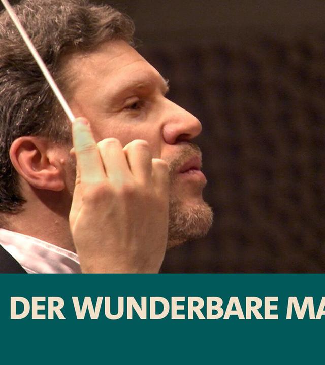 Bartók · Der wunderbare Mandarin · NDR Radiophilharmonie · Stanislav Kochanovsky · NDR