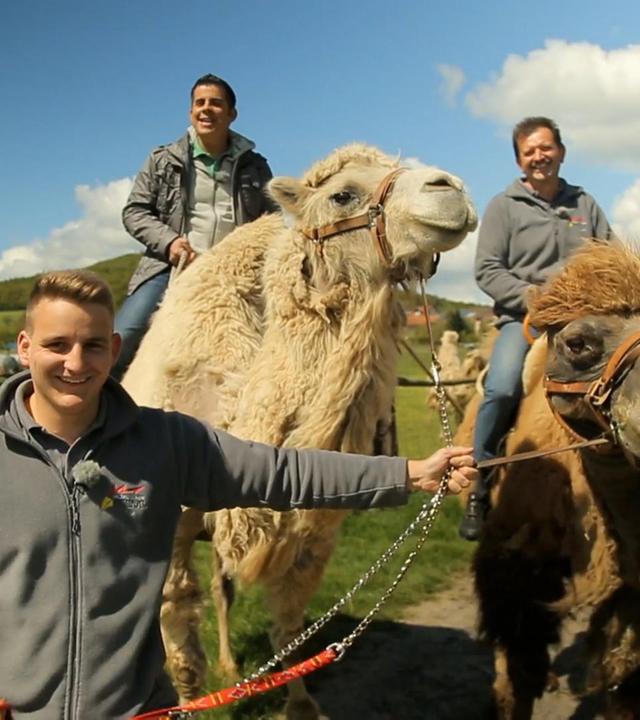 Bauern mit tierisch-guten Ideen