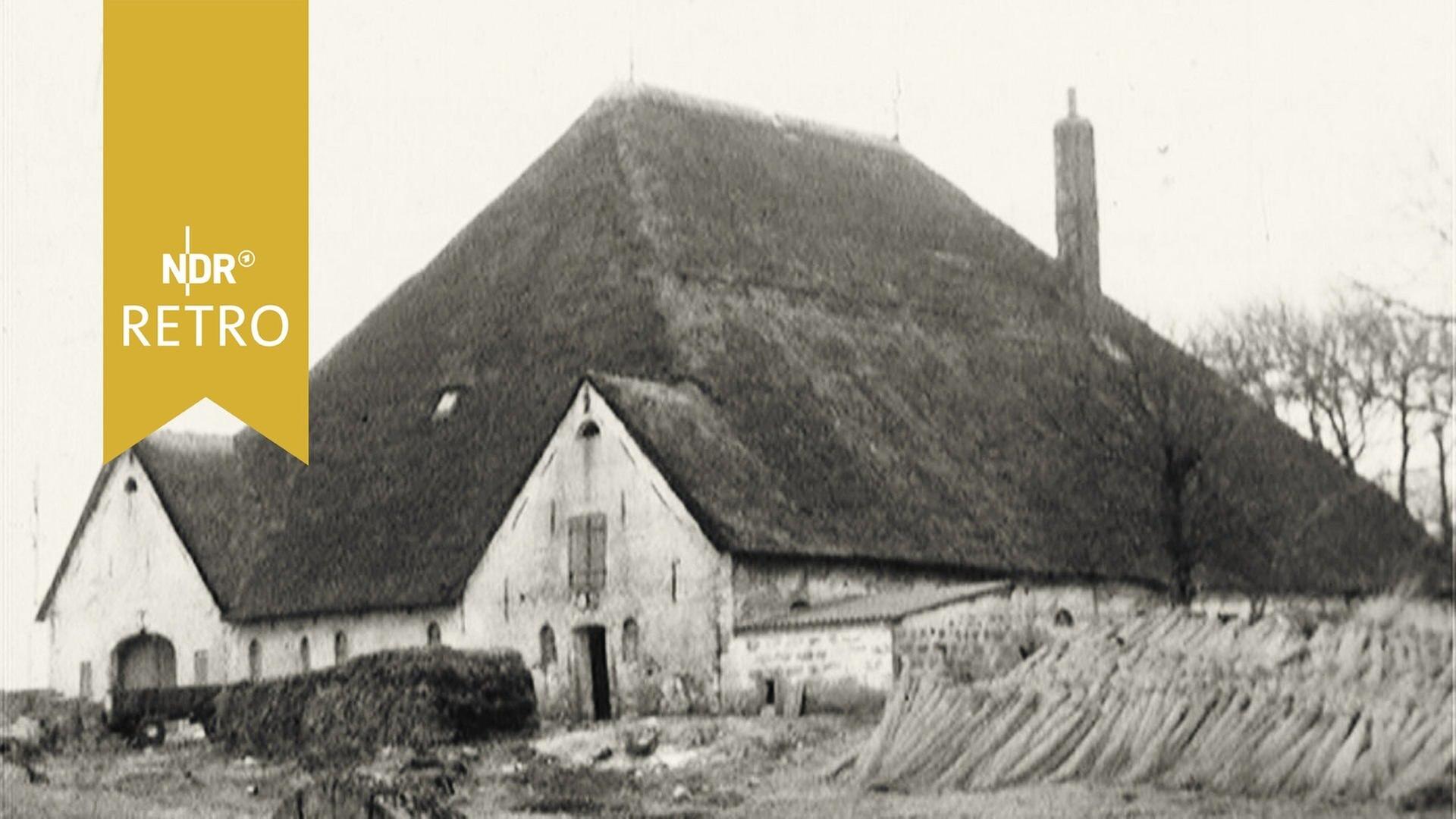 Bauernhaus von Brösum (tlw. stumm)