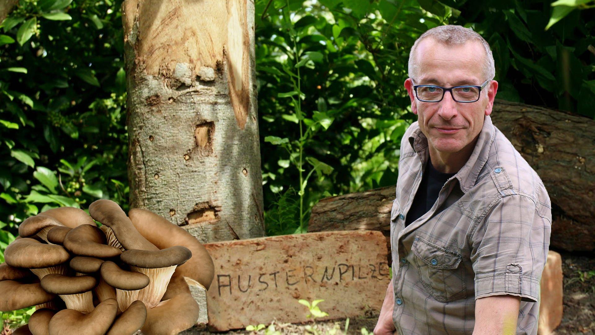 Bei Hobbygärtner Jürgen Mees