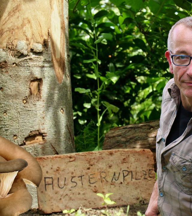 Bei Hobbygärtner Jürgen Mees