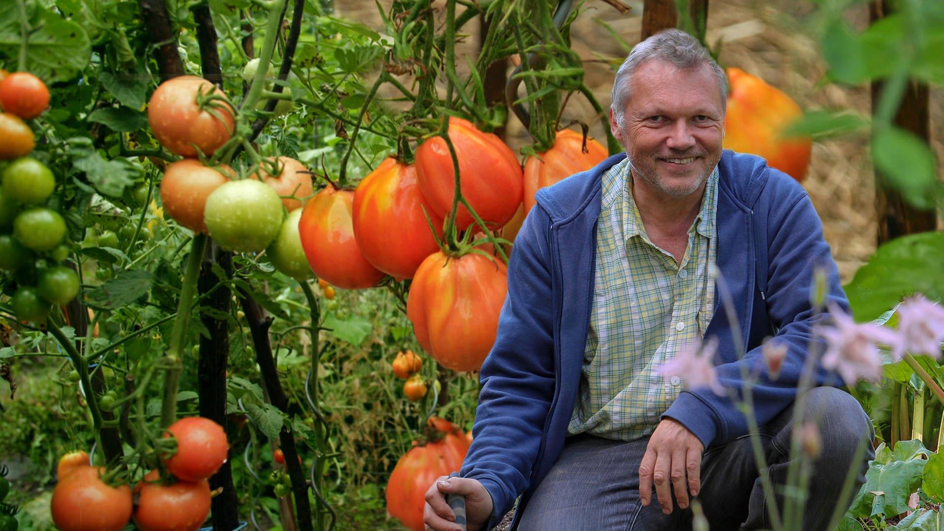 Bei Hobbygärtner Walter Krögner